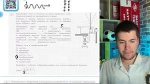 Укрепим в тисках упругую металлическую линейку (см. рисунок). Если ударить по линейке, то - №20554