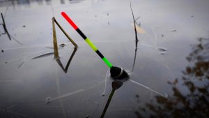 НАЛОВИЛ ПРОСТО ЖЕСТЬ! Поздняя осень выдала ЖОР на поплавок! Рыбалка 2025