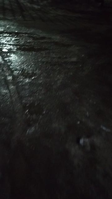 №292. Двор Г. Звезда 73 - Красноармейская 52. 19 марта 2025 г., 21:26:23. VID_20250319_212533861