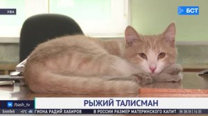 В Уфе кот стал частью пожарной команды