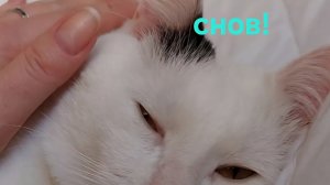 Спокойной ночи! Прекрасных сновидений.