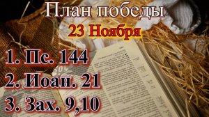 23 Ноября