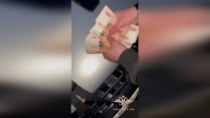 В Новосибирске задержаны подозреваемые в мошенничестве в сфере автострахования