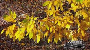 🔴 UN SUPER HIT🤗🥰❤️💕❤️💕