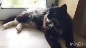 Едем и поём 🥰🥰🥰с сыном в гости 2024 г