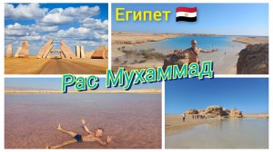 Египет. Экскурсия в Рас- Мухаммед