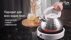 Металлический чайник MARTA MT-3086