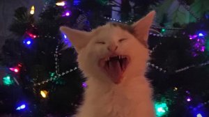 BEST PHONK MIX | ATMOSPHERIC PHONK PLAYLIST | CHILL PHONK | NIGHT DRIVE MUSIC | PHONK 2024