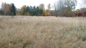 деревня Вяземское 50:18:0070440:917