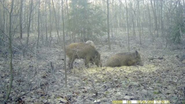 Природа Марий Эл смотреть онлайн
