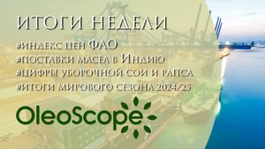 Индекс цен ФАО, цифры уборочной сои и рапса и итоги мирового сезона 2024/25