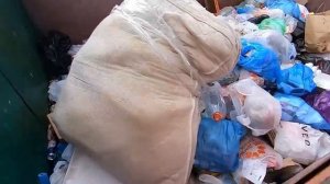 Как_я_зарабатываю_лазая_по_мусоркам_Питера_Dumpster_Diving_RUSSIA7