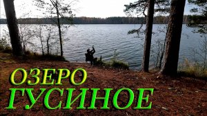 Озеро Гусиное. Рыбалка. Отдых.