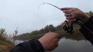 ОСЕННЯЯ РЫБАЛКА НА СПИННИНГ. ОКУНЬ НА МИКРОДЖИГ. БЕШЕННЫЙ КЛЕВ. КАНАЛ ИМЕНИ МОСКВЫ. 4К