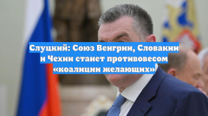 Слуцкий: Союз Венгрии, Словакии и Чехии станет противовесом «коалиции желающих»