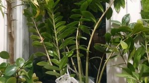 Ты - Космос...