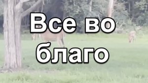 Все во благо
