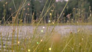 Озёра синие - О.Газманов,Т.Куртукова от **СаШкИ***