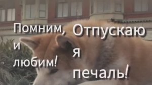 Пою Отпускаю я печаль Автор стихи Мэри Сказ