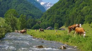 КРАСИВАЯ РАССЛАБЛЯЮЩАЯ МУЗЫКА. BEAUTIFUL RELAXING MUSIC