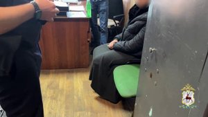 Нижегородские полицейские по горячим следам задержали подозреваемую в серии карманных краж