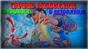 Самая уловистая приманка на судака. Судак и жерех на каждом забросе. Это Астрахань детка!