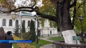 Медики со всей страны смогли познакомиться с тем, как лечат онкологию в Воронеже