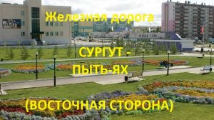 Железная дорога Сургут - Усть-Юган - Пыть-Ях (вид из окна поезда, восточная сторона) (СВЖД)