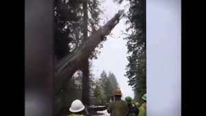 Лайфхаки на работе.!!!(2)