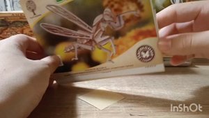 Обзор на деревянные конструкторы насекомые жук Оленьи Богомол