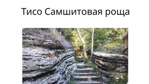 Прогулка по Тисо Самшитовой роще