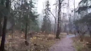 29-10-2025  Дорога  в прошлое