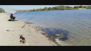 Попался лещ на городском пляже