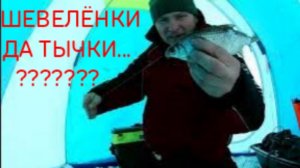 Зимняя сказка, рыбалка в палатке