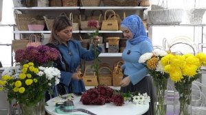 Моя Оранжерея