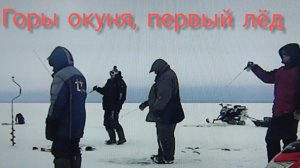 На первый лёд за окунем на мини снегоходах...