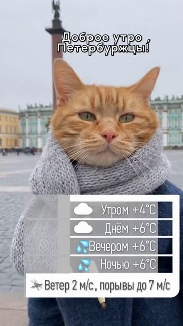 ПРОГНОЗ ПОГОДЫ В ПИТЕРЕ НА 29.10.2025 ОТ КОТИКА =)