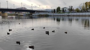 28-10-2025 Орел/ Орловская осень/ Набережная