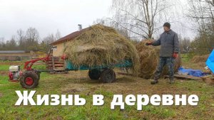 Временная прибавка в хозяйстве, "другое" сено, работа нового коровника и деревенские будни!