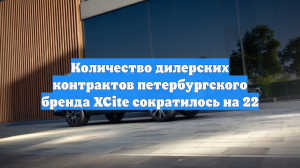 Количество дилерских контрактов петербургского бренда XCite сократилось на 22