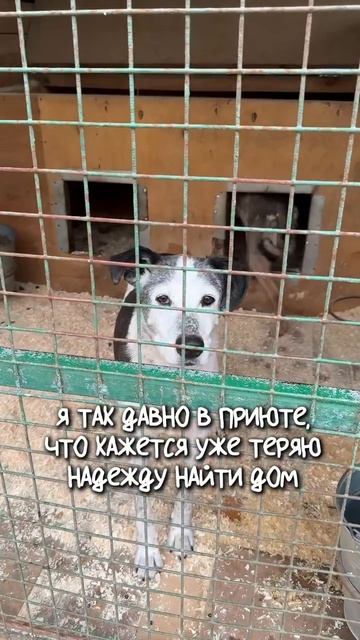 Мия все ещё ждет