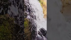 Режевской район. К урочищу Старые Кривки