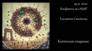 Елизавета Самойлова "Клеточное старение"