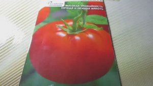Томат Ирина F1: проверенный гибрид от Садовита для обильного урожая.Все плюсы и минусы