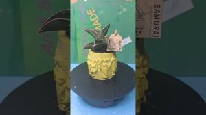 Кашпо из гипса ручная работа.