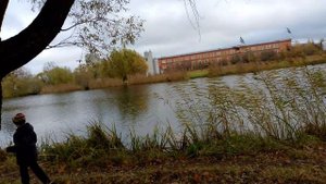 кормили уточик в английском парке