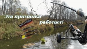 Рыбалка с лодки.Эта приманка работает!