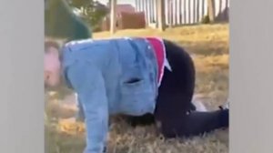 Смешные видео