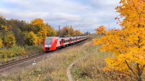 «Золотой осенью!» Электропоезд «Ласточка» ЭС2Г-023/018 на перегоне, октябрь 2025 года