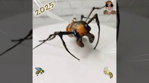 Большой полосатый мух